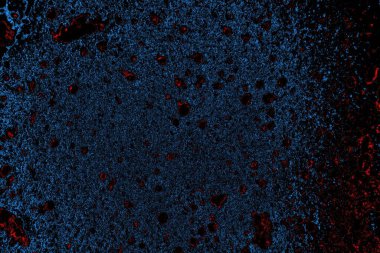 Soyut arkaplan. Monokrom dokusu. Resim siyah tonları da içerir.