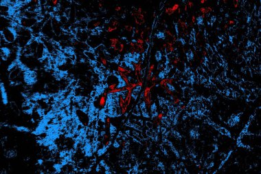 Soyut pejmürde bir doku. Asit grunge arkaplanı, metin veya reklamınız için boşluk resmini kopyala