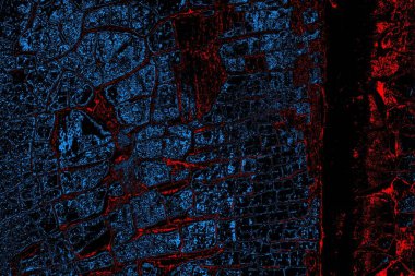 Soyut renk dokusu, grunge arkaplanı, boşluk duvar kağıdını kopyala