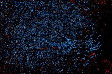 Soyut arkaplan. Monokrom dokusu. Resim siyah tonları da içerir.