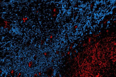 Soyut arkaplan. Monokrom dokusu. Resim siyah tonları da içerir.