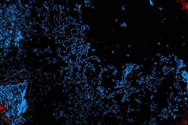 Soyut arkaplan. Monokrom dokusu. Resim siyah tonları da içerir.