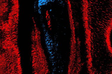 Soyut arkaplan renkli modern desen 