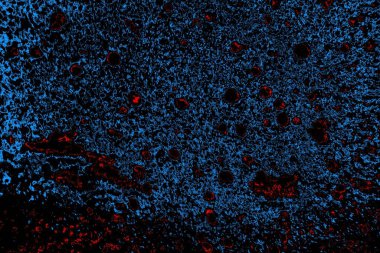 Soyut arkaplan. Monokrom dokusu. Resim siyah tonları da içerir.