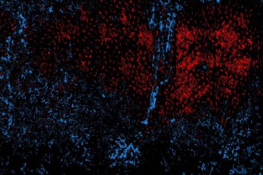 Soyut renk dokusu, grunge arkaplanı, boşluk duvar kağıdını kopyala