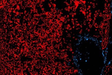 Soyut arkaplan. Monokrom dokusu. Resim siyah tonları da içerir.