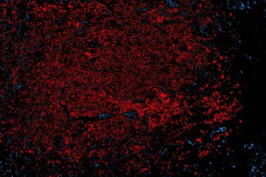 Soyut renk dokusu, grunge arkaplanı, boşluk duvar kağıdını kopyala