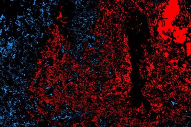 Soyut çılgın doku. koyu asit grunge arkaplanı, boşluk duvar kağıdını kopyala 