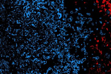 Soyut renk dokusu, grunge arkaplanı, boşluk duvar kağıdını kopyala