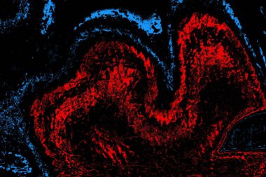 Soyut pejmürde bir doku. Asit grunge arkaplanı, metin veya reklamınız için boşluk resmini kopyala