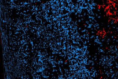 Soyut renk dokusu, grunge arkaplanı, boşluk duvar kağıdını kopyala