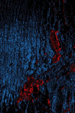 Soyut arkaplan. Monokrom dokusu. Resim siyah tonları da içerir.