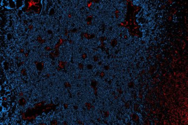 Soyut arkaplan. Monokrom dokusu. Resim siyah tonları da içerir.