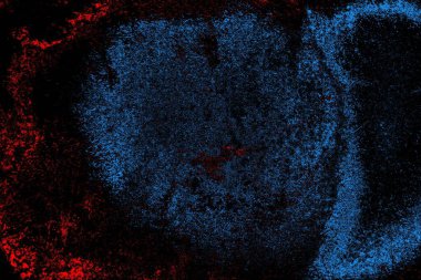 Soyut arkaplan. Monokrom dokusu. Resim siyah tonları da içerir.