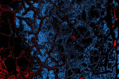 Soyut renk dokusu, grunge arkaplanı, boşluk duvar kağıdını kopyala