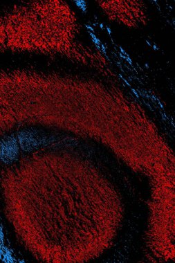 Soyut arkaplan renkli modern desen 