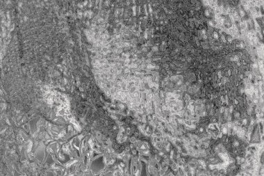 Soyut arkaplan. monokrom dokusu. resim siyah ve beyaz tonları içerir.