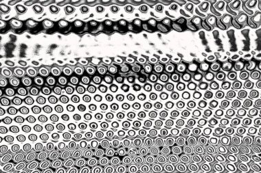 Soyut arkaplan. monokrom dokusu. resim siyah ve beyaz tonları içerir.