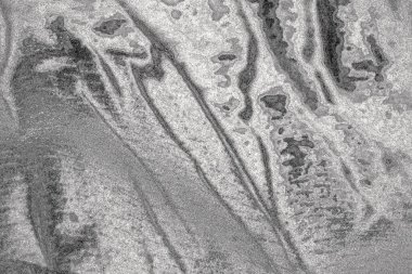 Soyut arkaplan. monokrom dokusu. resim siyah ve beyaz tonları içerir.