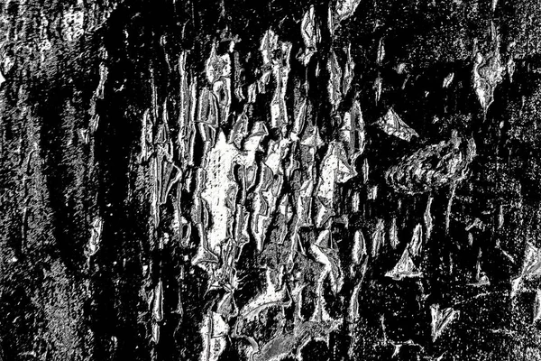 Fond Abstrait Texture Monochrome Image Incluant Effet Les Tons Noir — Photo