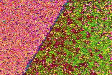 Arkaplan olarak kullanılmak üzere sıvanmış duvarın resmi