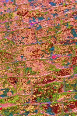 Duvar kağıdı için soyut renkli doku arkaplanı. Yaratıcı ve tasarım sanatı, eski duvar dokusu.