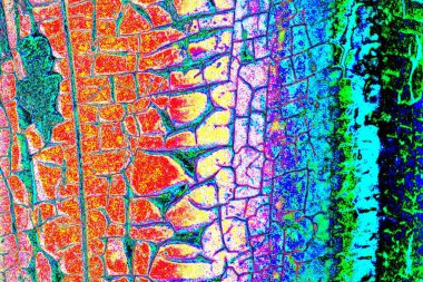 yaratıcı ve tasarım sanatı, kopyalama alanı duvar kağıdı, soyut renkli doku arkaplanı