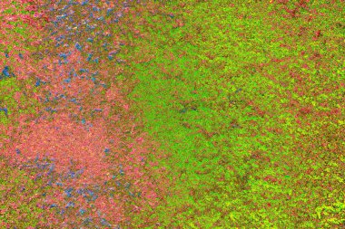 yaratıcı ve tasarım sanatı, kopyalama alanı duvar kağıdı, soyut renkli doku arkaplanı  