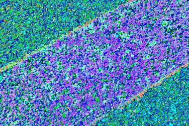 Arkaplan olarak kullanılmak üzere sıvanmış duvarın resmi