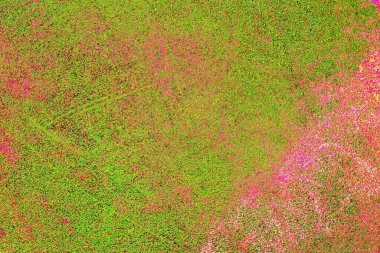 yaratıcı ve tasarım sanatı, kopyalama alanı duvar kağıdı, soyut renkli doku arkaplanı  