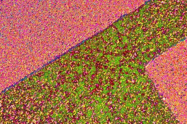 Arkaplan olarak kullanılmak üzere sıvanmış duvarın resmi