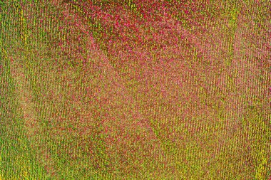 Soyut arkaplan tam çerçeve modern kalıp 