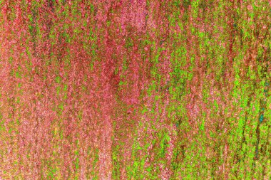 Soyut arkaplan. monokrom dokusu. resim siyah ve beyaz tonları içerir.