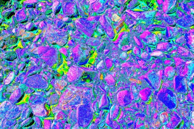 Doğada kayalık yol