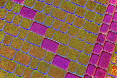 Duvar kağıdı için suluboya arka planının soyut renkli dokusu. Yaratıcı ve tasarım sanatı, eski duvar dokusu.