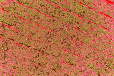 Çizik ve çatlaklarla metal doku