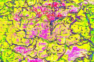 Duvar kağıdı için suluboya arka planının soyut renkli dokusu. Yaratıcı ve tasarım sanatı.