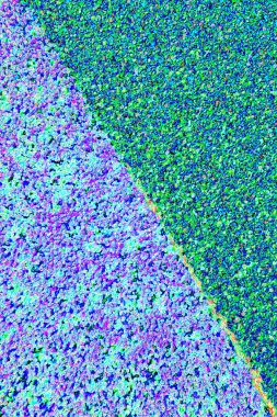 Arkaplan olarak kullanılmak üzere sıvanmış duvarın resmi