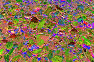 Doğada kayalık yol