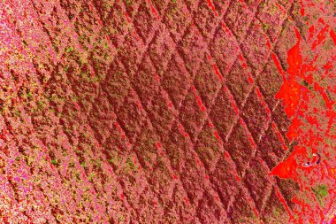 Çizik ve çatlaklarla metal doku