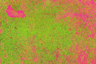 yaratıcı ve tasarım sanatı, kopyalama alanı duvar kağıdı, soyut renkli doku arkaplanı  