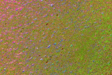 yaratıcı ve tasarım sanatı, kopyalama alanı duvar kağıdı, soyut renkli doku arkaplanı  