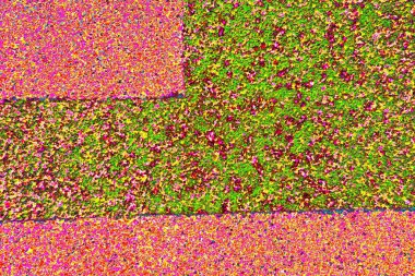 Arkaplan olarak kullanılmak üzere sıvanmış duvarın resmi