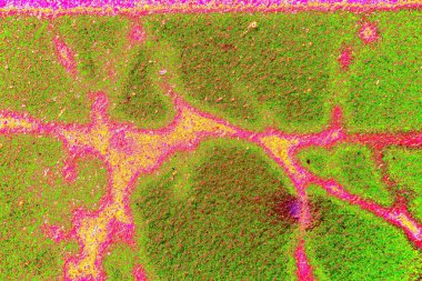 Yaratıcı ve tasarım sanatı, eski duvar dokusu. Duvar kağıdı için soyut renkli doku arkaplanı. 