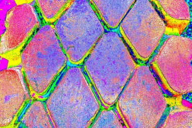 Boyalı araba lastiği yakın çekim dokusu arka planı