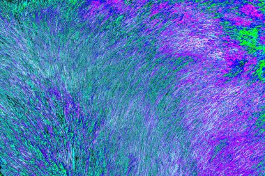 Yaban domuzu kürkü, vahşi hayvan, yaklaşın.