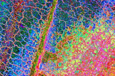 yaratıcı ve tasarım sanatı, kopyalama alanı duvar kağıdı, soyut renkli doku arkaplanı  