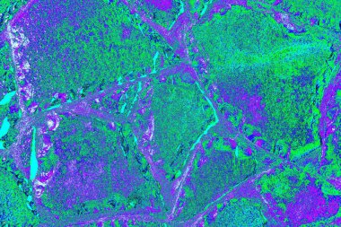 Arkaplan olarak kullanmak için duvarın resmi.