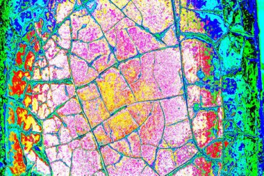 yaratıcı ve tasarım sanatı, kopyalama alanı duvar kağıdı, soyut renkli doku arkaplanı