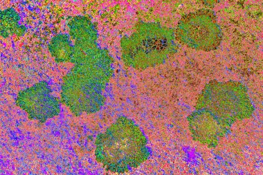 Duvar kağıdı için suluboya arka planının soyut renkli dokusu. Yaratıcı ve tasarım sanatı.